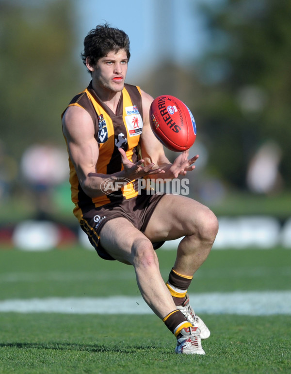 VFL 2012 2nd Semi Final - Geelong Cats v Box Hill Hawks - 269595