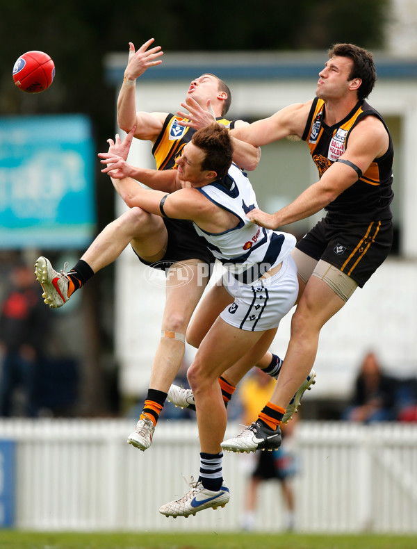 VFL 2012 2nd Preliminary Final - Werribee Tigers v Geelong - 270222