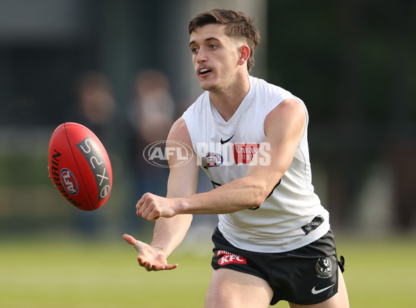 AFL 2023 Training - Collingwood 120523 - A-35429515