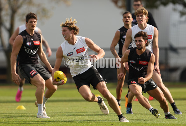 AFL 2023 Training - Collingwood 120523 - A-35429525