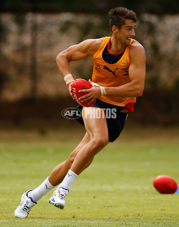 AFL 2013 Training - Adelaide 111213 - 309808