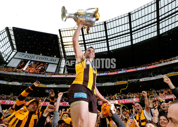 AFL 2013 Toyota Grand Final - Hawthorn v Fremantle - 339328