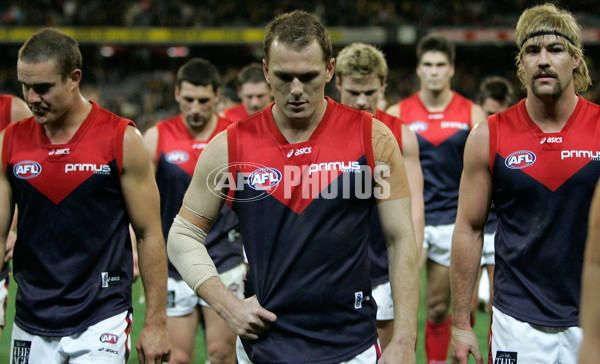 AFL Round 12 - Richmond v Melbourne - 9419