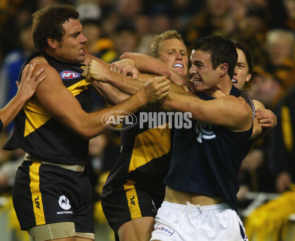 AFL 2004 Rd13 - Richmond v Carlton - A-35682949