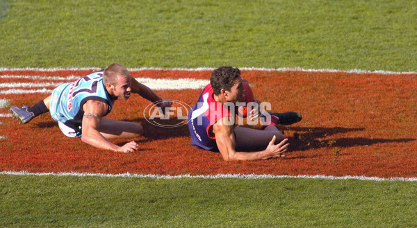 AFL 2004 Rd 4 - Melbourne v Port Adelaide - 117525