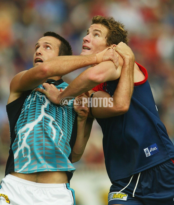 AFL 2004 Rd 4 - Melbourne v Port Adelaide - 117515