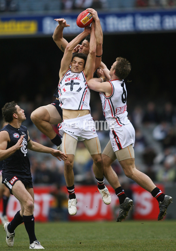 AFL Round 17 - Carlton v St Kilda - 12126