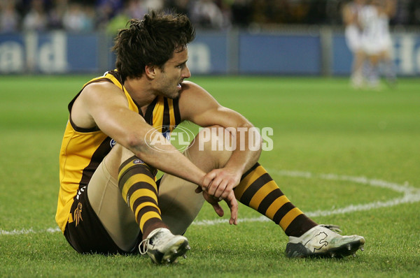 AFL First Semi-Final â€“ Kangaroos v Hawthorn - 16839
