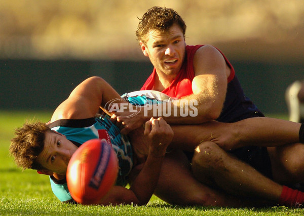 AFL 2004 Rd 4 - Melbourne v Port Adelaide - 171712