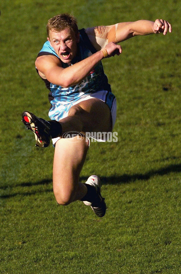 AFL 2004 Rd 4 - Melbourne v Port Adelaide - A-35882177