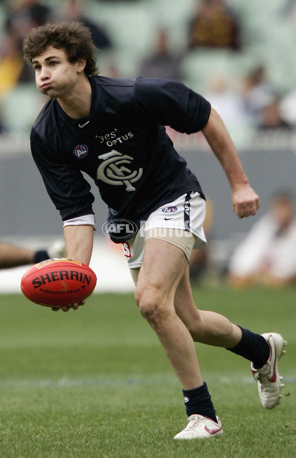 AFL 2005 Rd 17 - Hawthorn v Carlton - 176082