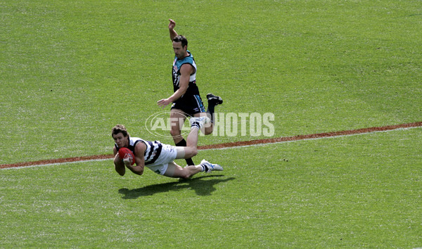 AFL 2007 Grand Final â€“ Geelong v Port Adelaide - 17927