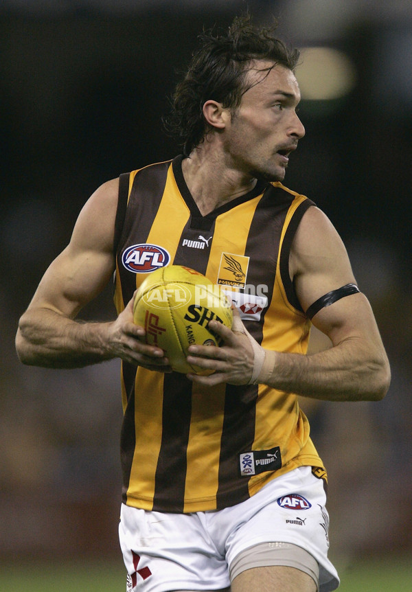 AFL 2005 Rd 21 - Richmond v Hawthorn - 179350