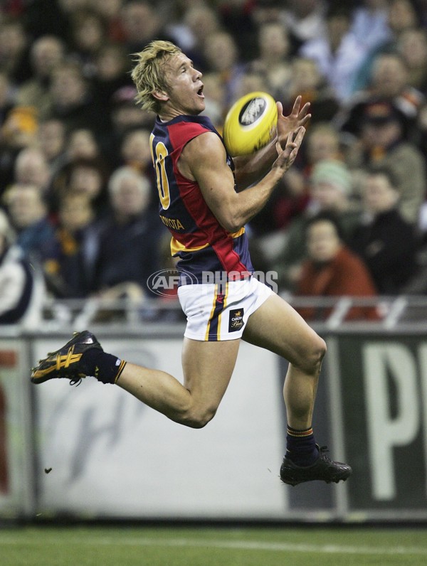 AFL 2006 Rd 12 - St Kilda v Adelaide Crows - 179476