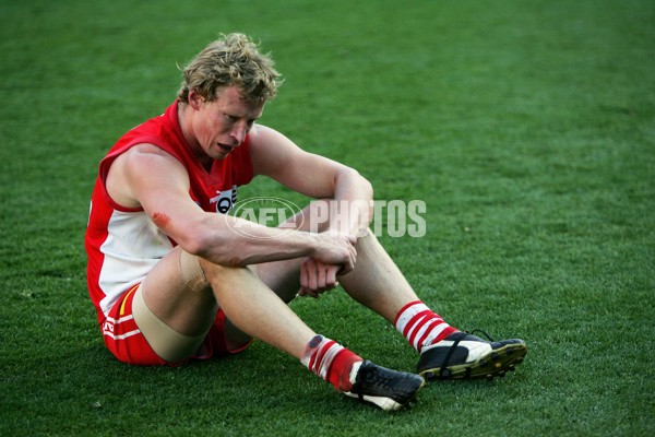 AFL 2006 Grand Final - Sydney Swans v West Coast Eagles - 185926