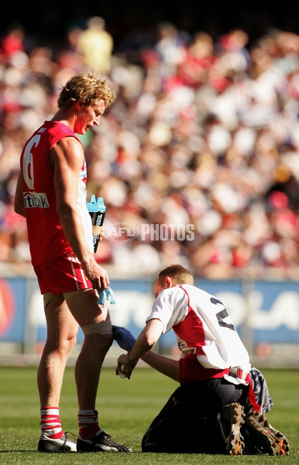 AFL 2006 Grand Final - Sydney Swans v West Coast Eagles - 186058