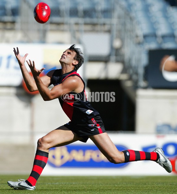 AFL 2006 NAB Challenge - Essendon v Sydney - 187497