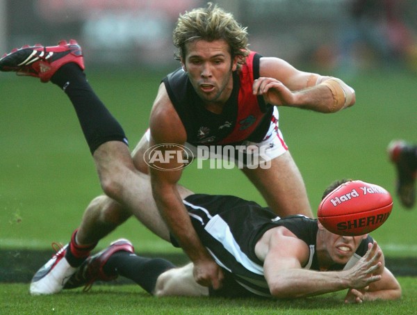 AFL 2006 Rd 4 - Collingwood v Essendon - 187575