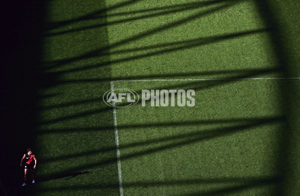 AFL 2006 Rd 3 - Essendon v Western Bulldogs - 187558