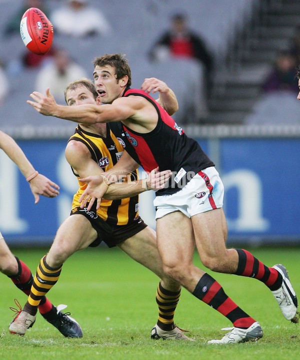 AFL 2006 Rd 5 - Hawthorn v Essendon - 187606