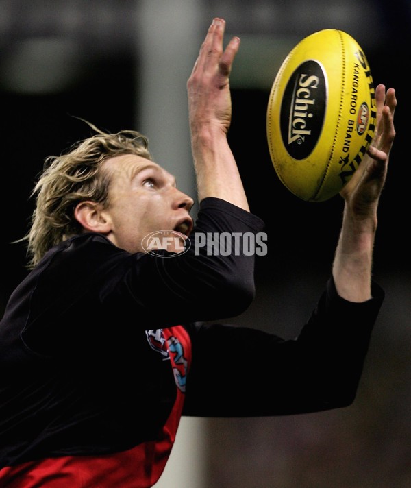 AFL 2006 Rd 22 - Western Bulldogs v Essendon - 187871
