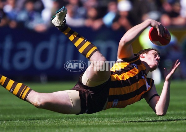 AFL 2006 Rd 1 - Hawthorn v Fremantle - 189632