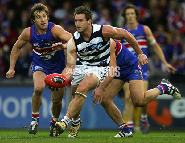 AFL 2006 Rd 4 - Western Bulldogs v Geelong - 189733