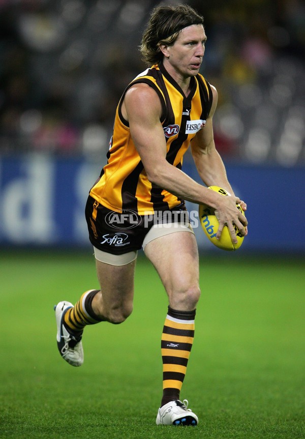 AFL 2006 Rd 8 - Hawthorn v Melbourne - 189882