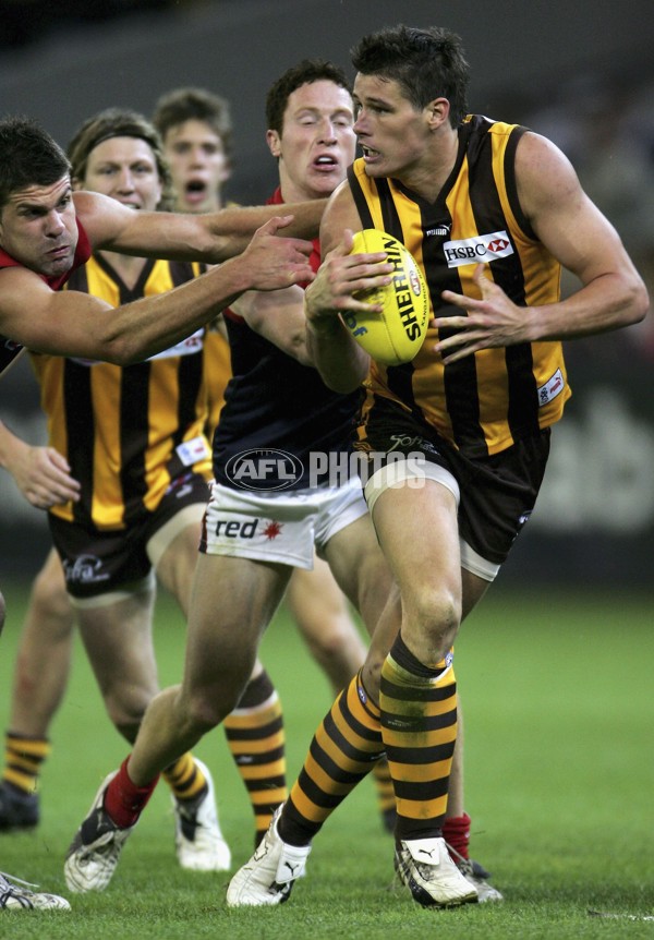 AFL 2006 Rd 8 - Hawthorn v Melbourne - 189888