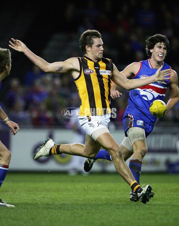 AFL 2006 Rd 10 - Western Bulldogs v Hawthorn - 189940