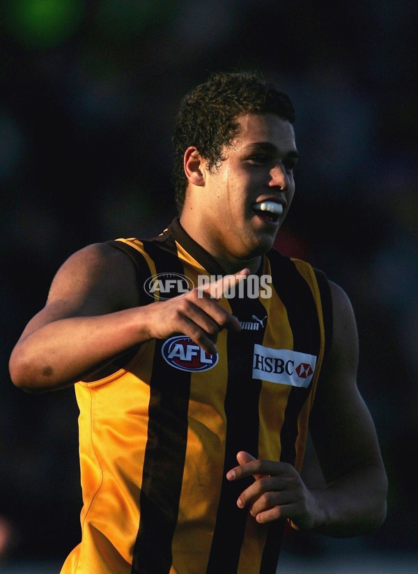 AFL 2006 Rd 12 - Hawthorn v Richmond - 189973