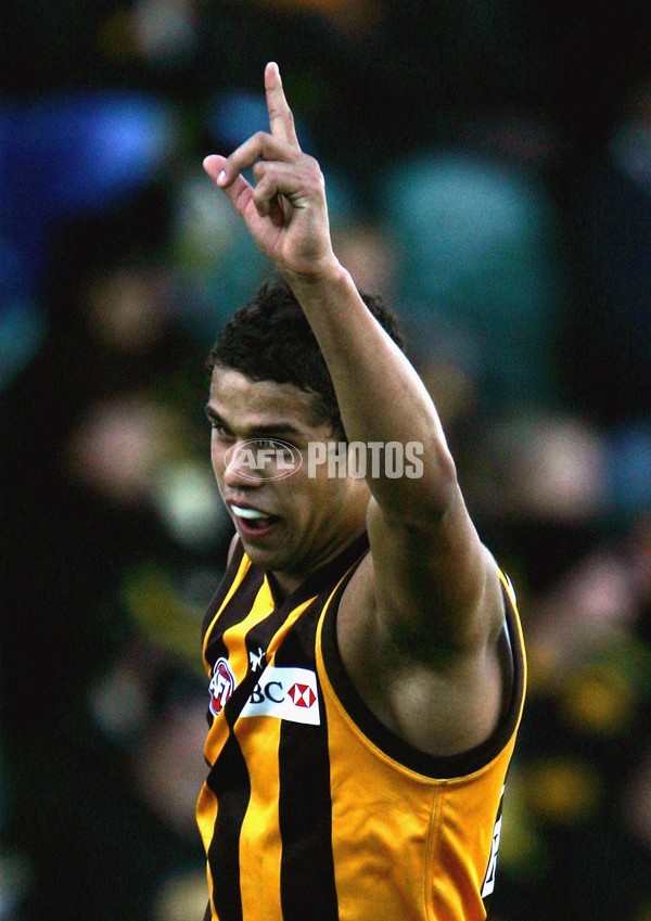AFL 2006 Rd 12 - Hawthorn v Richmond - 189986