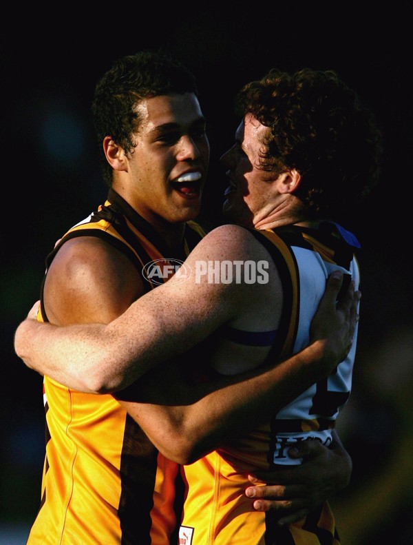 AFL 2006 Rd 12 - Hawthorn v Richmond - 189972