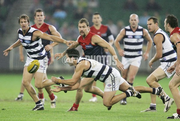 AFL 2006 Rd 6 - Melbourne v Geelong - 189826
