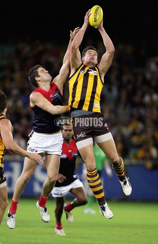 AFL 2006 Rd 8 - Hawthorn v Melbourne - 189871