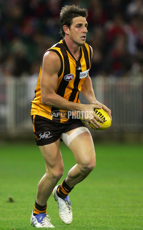 AFL 2006 Rd 8 - Hawthorn v Melbourne - 189902