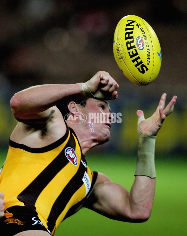 AFL 2006 Rd 9 - Hawthorn v Sydney Swans - 189912