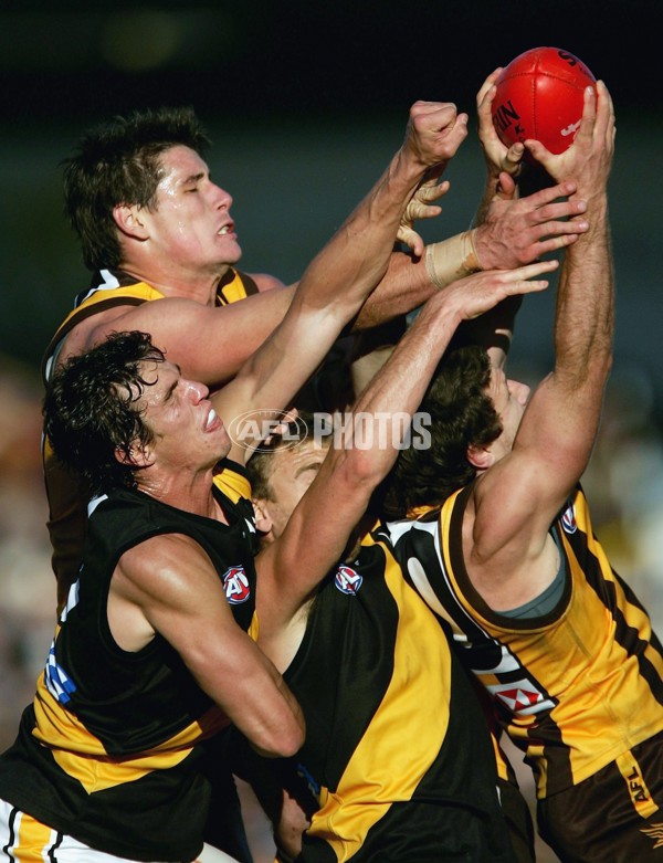 AFL 2006 Rd 12 - Hawthorn v Richmond - 189989