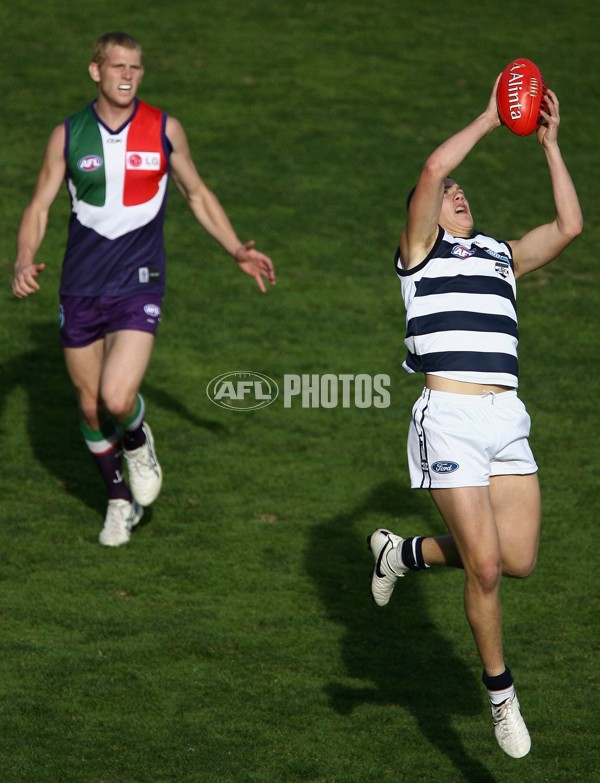 AFL 2006 Rd 12 - Fremantle v Geelong - 190034