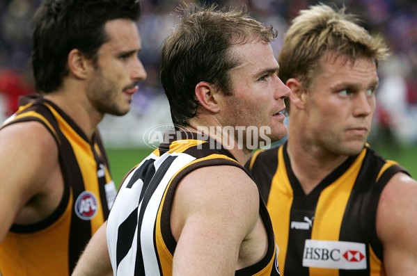 AFL 2006 Rd 18 - Fremantle v Hawthorn - 190158