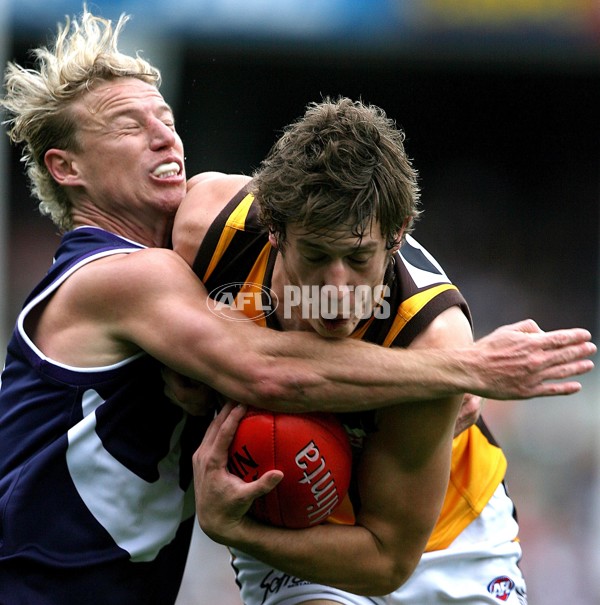 AFL 2006 Rd 18 - Fremantle v Hawthorn - 190175