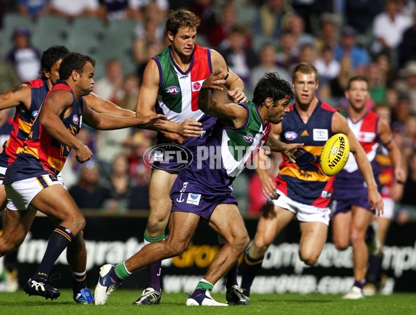 AFL 2006 Rd 4 - Fremantle v Adelaide Crows - 190859