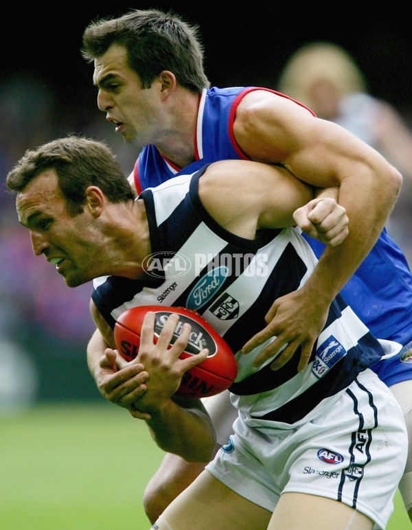 AFL 2006 Rd 4 - Western Bulldogs v Geelong - 191610