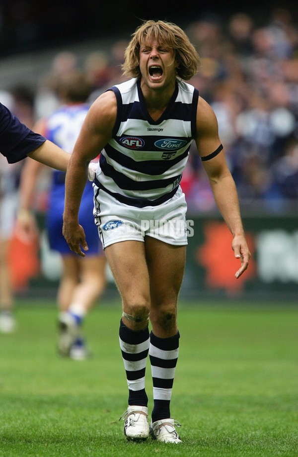 AFL 2006 Rd 4 - Western Bulldogs v Geelong - 191613