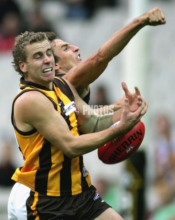 AFL 2006 Rd 5 - Hawthorn v Essendon - 191649