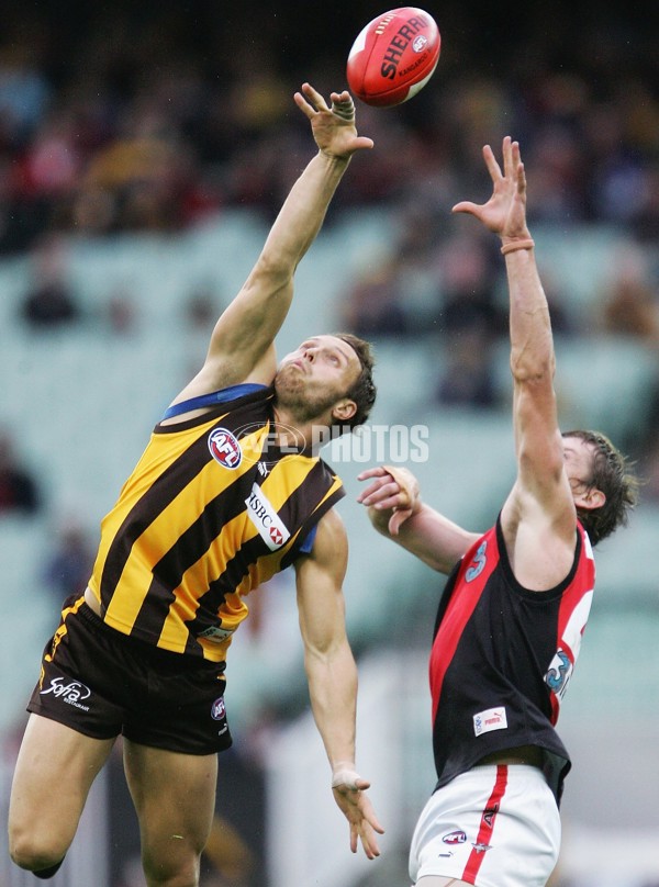 AFL 2006 Rd 5 - Hawthorn v Essendon - 191653