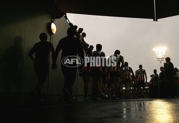 AFL 2006 Rd 5 - Hawthorn v Essendon - 191687