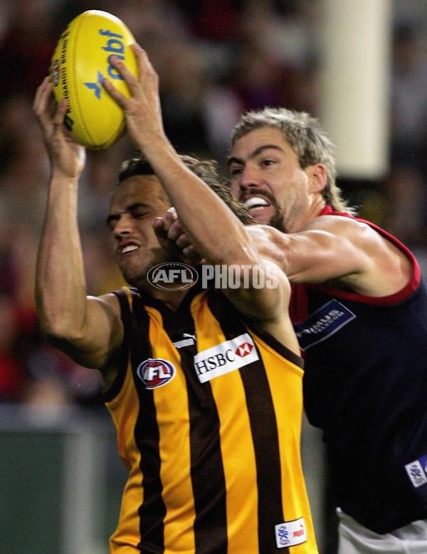AFL 2006 Rd 8 - Hawthorn v Melbourne - 191741