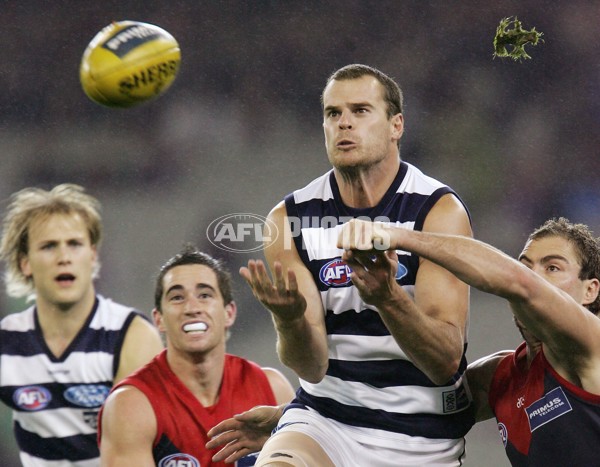AFL 2006 Rd 6 - Melbourne v Geelong - 191690