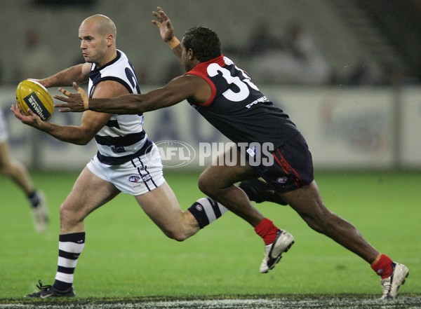 AFL 2006 Rd 6 - Melbourne v Geelong - 191675